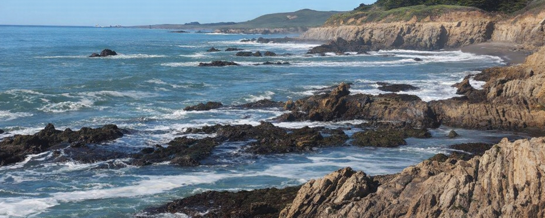 Central Coast coastline near Cambria on the Bruce Owens Painting homepage